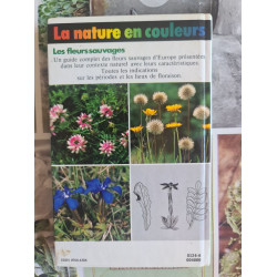 La nature en couleurs : Les fleurs sauvages