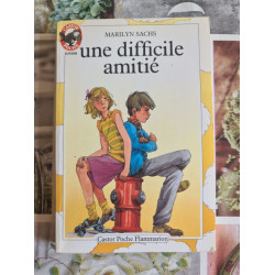 Une difficile amitié