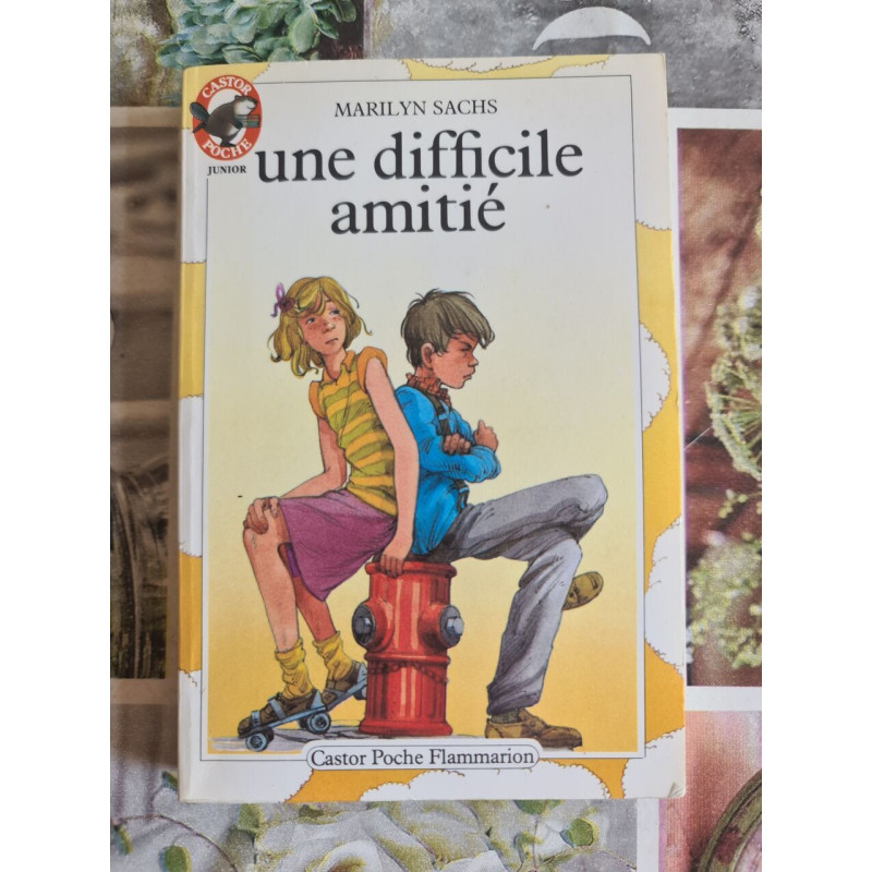 Une difficile amitié