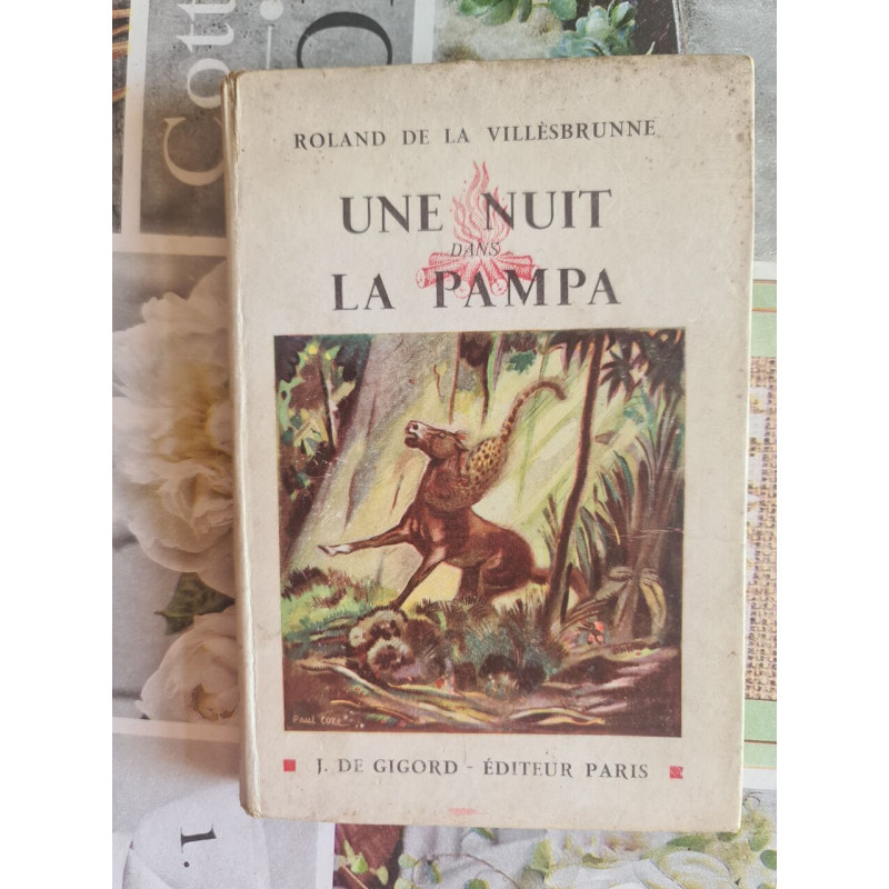 Une nuit dans la pampa