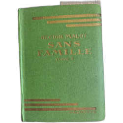 Sans famille tome II