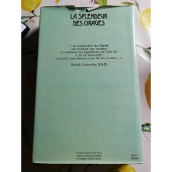 La splendeur des orages
