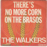 There's No More Corn On The Brasos
