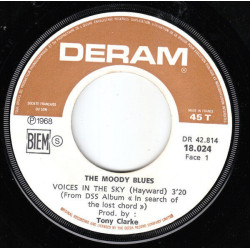 Voices In The Sky