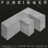 I Want To Know What Love Is