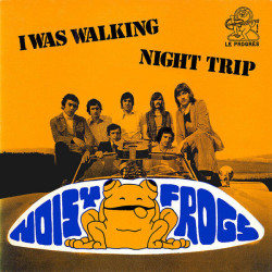 I Was Walking / Night Trip