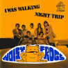 I Was Walking / Night Trip