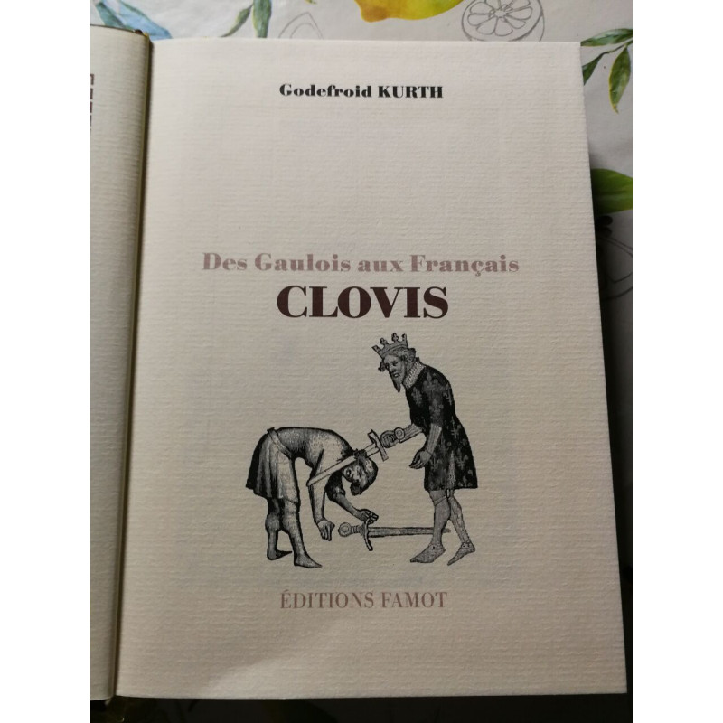 Clovis des Gaulois aux Français
