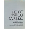 Pierre qui mousse