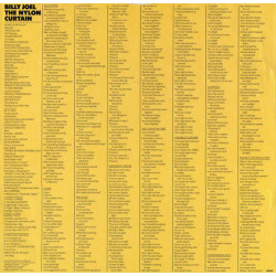 The Nylon Curtain