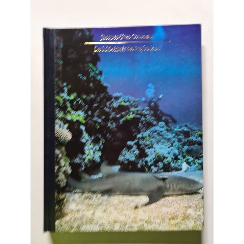 Photographie Sous-Marine la planete ocean