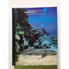 Photographie Sous-Marine la planete ocean