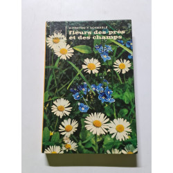 Fleurs des prés et des champs