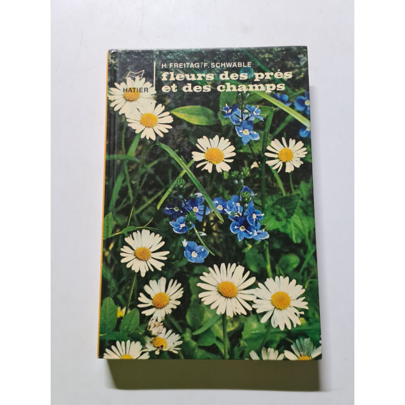 Fleurs des prés et des champs