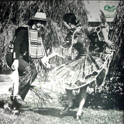 Chants Et Danses Du Chili