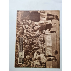 L'affaire Jourden Boucher répond nº 801