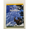 Les mystères de la vie en montagne