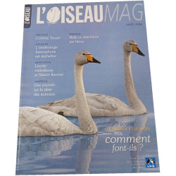 L'Oiseau Magazine n°85