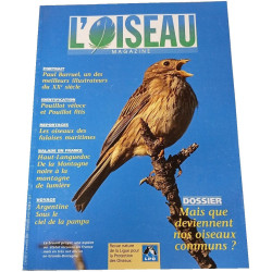 L'Oiseau Magazine n°63