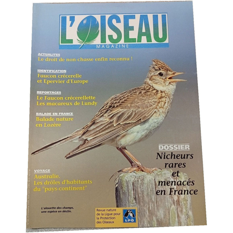 L'Oiseau Magazine n°60