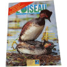 L'Oiseau Magazine n°53