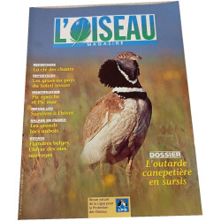 L'Oiseau Magazine n°49
