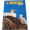L'Oiseau Magazine n°35