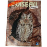 L'Oiseau Magazine n°38