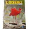 L'Oiseau Magazine n°39
