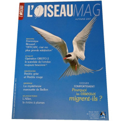 L'Oiseau Magazine n°88