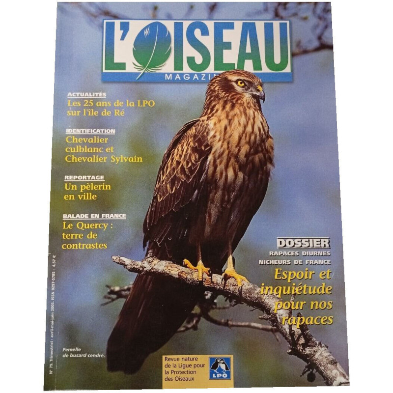 L'Oiseau Magazine n°79