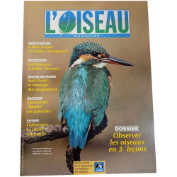 L'Oiseau Magazine n°61