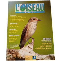 L'Oiseau Magazine n°80