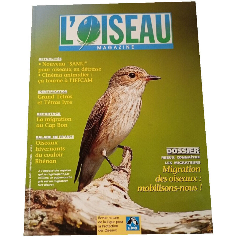 L'Oiseau Magazine n°80