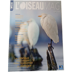 L'Oiseau Magazine n°93