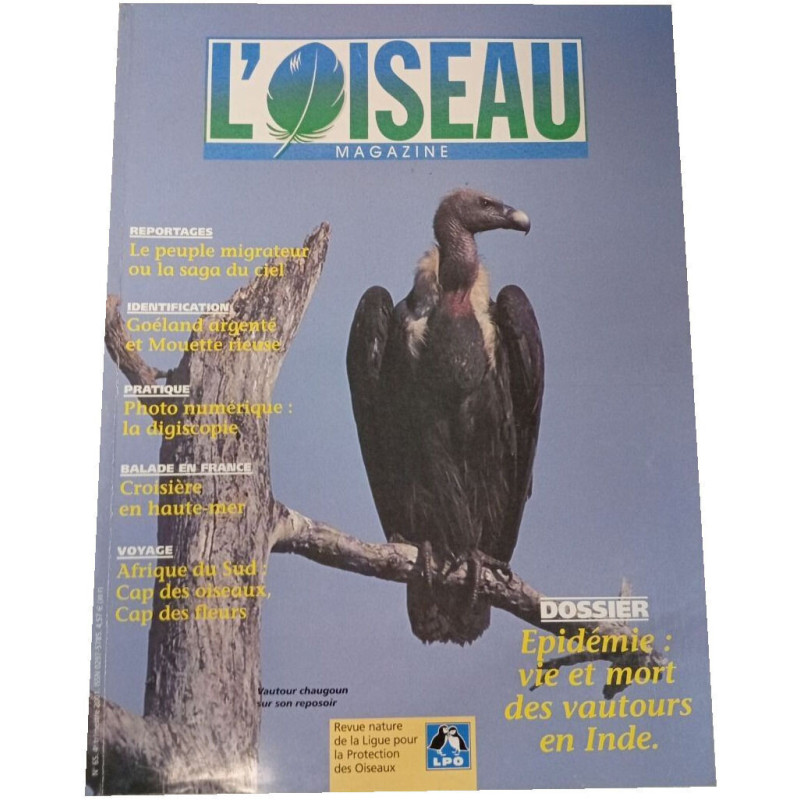 L'Oiseau Magazine n°65