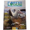L'Oiseau Magazine n°62