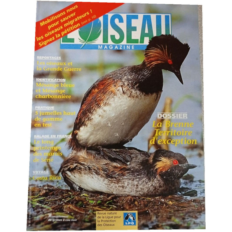 L'Oiseau Magazine n°53