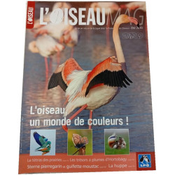 L'Oiseau Magazine n°99