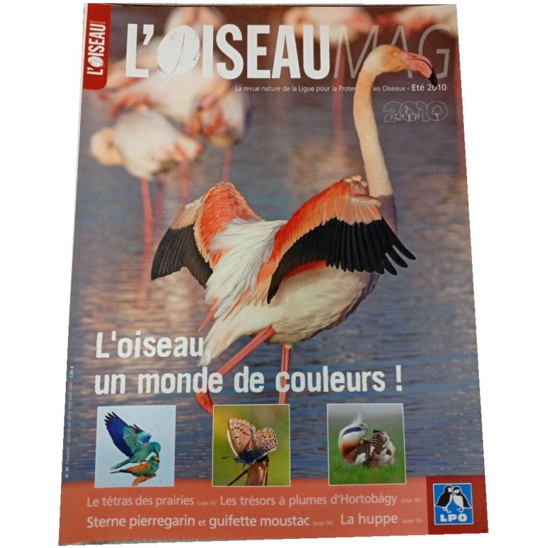 L'Oiseau Magazine n°99