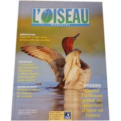 L'Oiseau Magazine n°72
