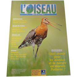 L'Oiseau Magazine n°71