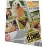Le grand livre d'or du chien n°4