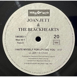 I Hate Myself... ...For Loving You