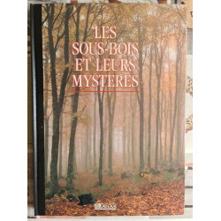 Les sous-bois et leurs mystères