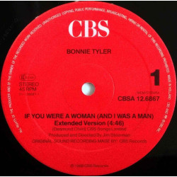 If You Were A Woman (And I Was A Man)