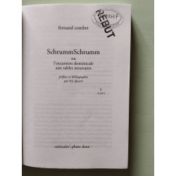 Schrummschrumm ou l'excursion dominicale aux sables mouvants