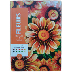 Coloriages mystères - Fleurs: Colorie les chiffres et découvre l'image