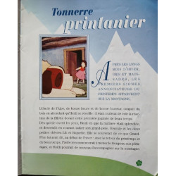 Heidi : Flocon de neige Le village