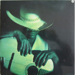 American Festival Folk Blues